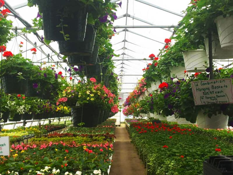 Home Sell Farms & Greenhouses